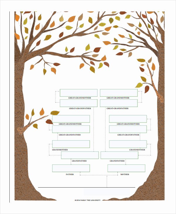 19 Family Tree Templates