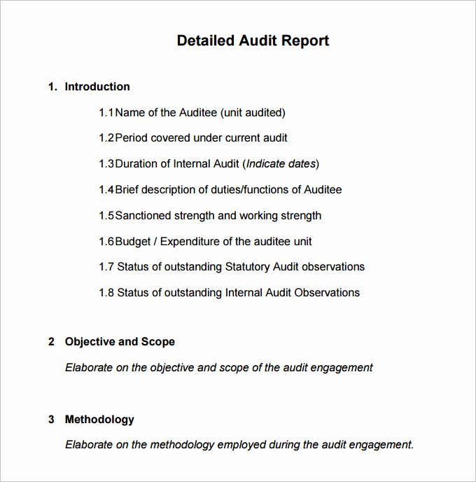 19 Internal Audit Report Templates Pdf Doc