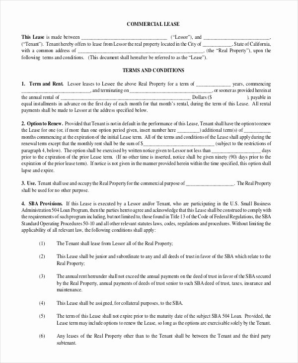 19 Rental Lease Agreement Free Sample Example format