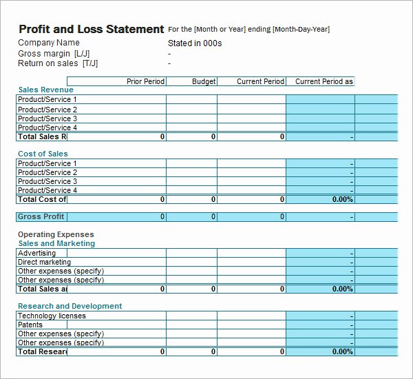 19 Sample Profit and Loss Templates