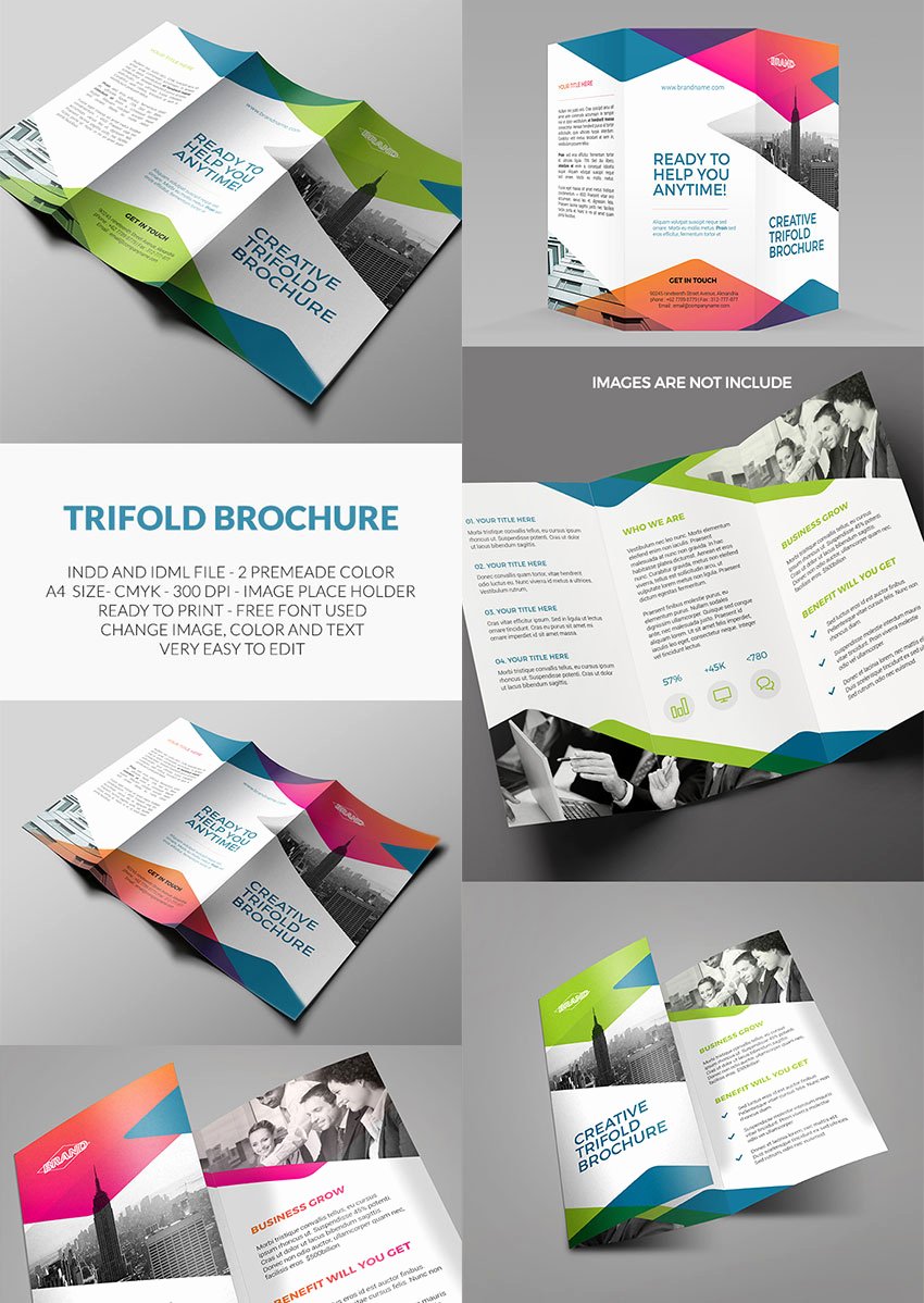 20 Best Indesign Brochure Templates for Creative