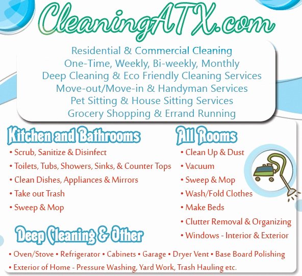 20 Cleaning Services Flyers Templates