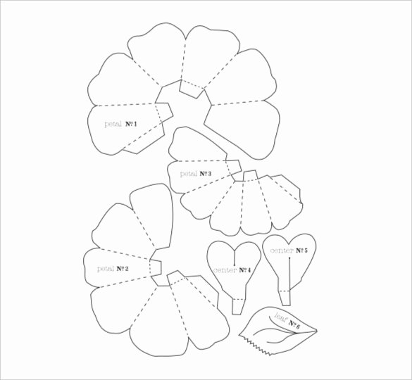 20 Flower Petal Templates Pdf Vector Eps