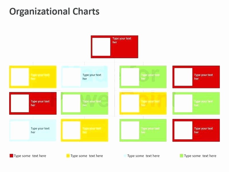 2007 Microsoft organization Chart – Hardwareindustryfo