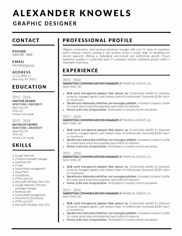 2018 Best Clean and Simple Resume Templates top 5
