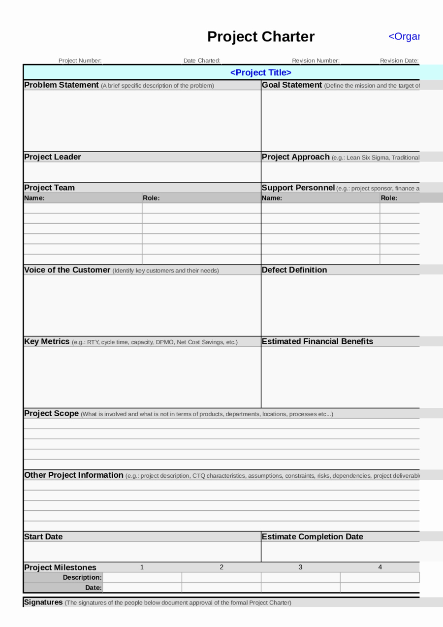 2019 Project Charter Template Fillable Printable Pdf