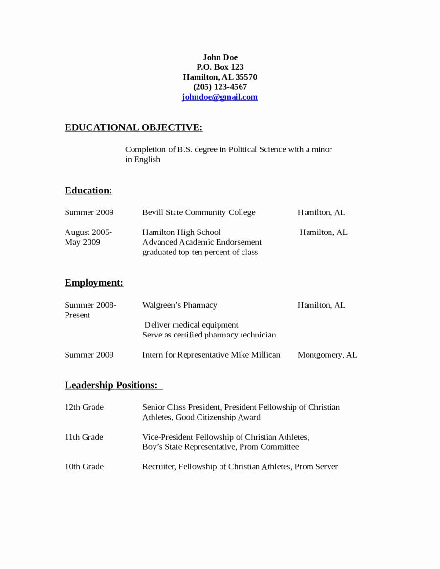 2019 Resume Objective Examples Fillable Printable Pdf