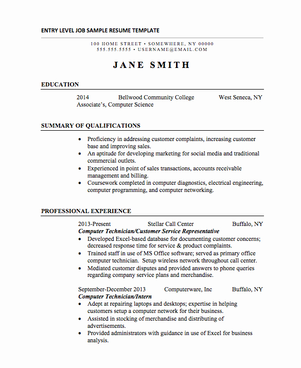 21 Basic Resumes Examples for Students