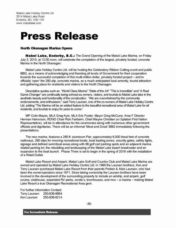 21 Free Press Release Template Word Excel formats