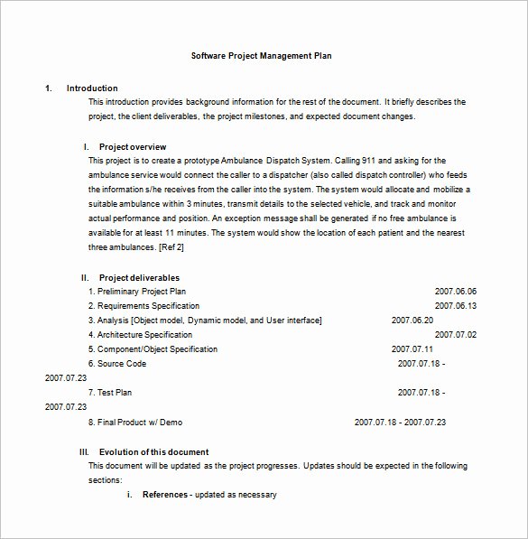 23 Project Plan Template Doc Excel Pdf