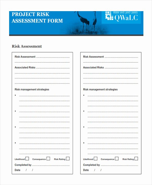 23 Risk assessment form Examples