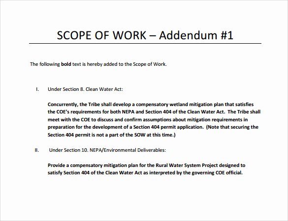 23 Sample Scope Of Work Templates to Download