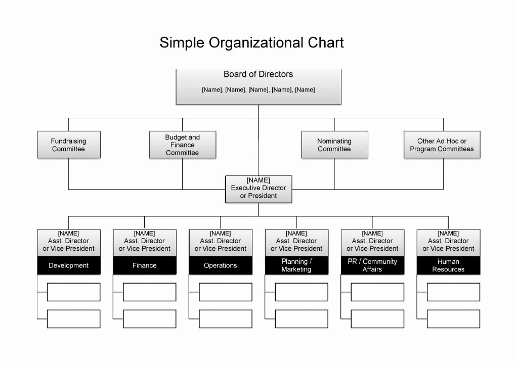 25 Best Free organizational Chart Template In Word Pdf Excel