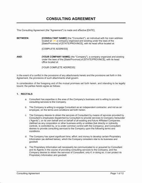 25 Consulting Agreement Samples