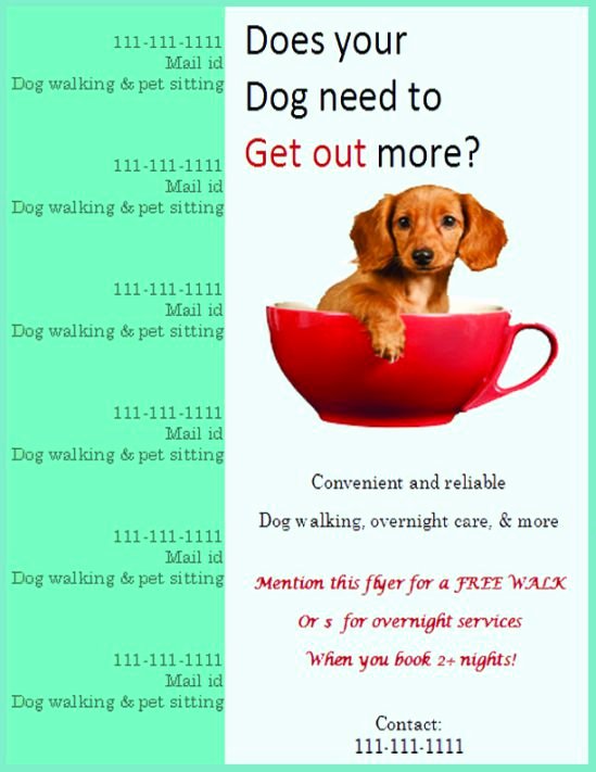 25 Dog Walking Flyers for Small Dog Sitting Businesses