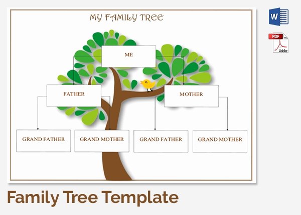25 Family Tree Templates Free Sample Example format