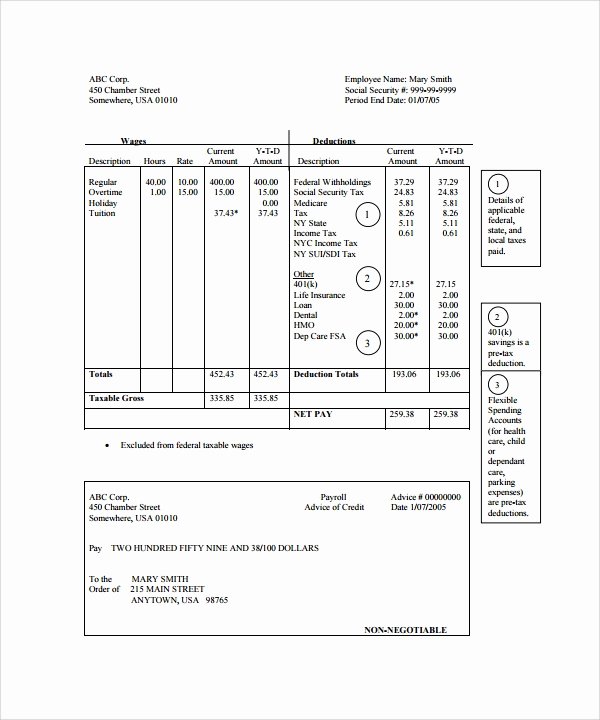 25 Sample Editable Pay Stub Templates to Download