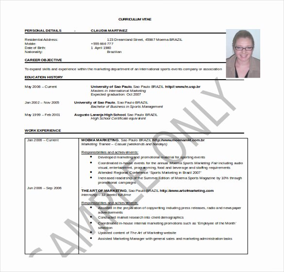 26 Word Professional Resume Template Free Download
