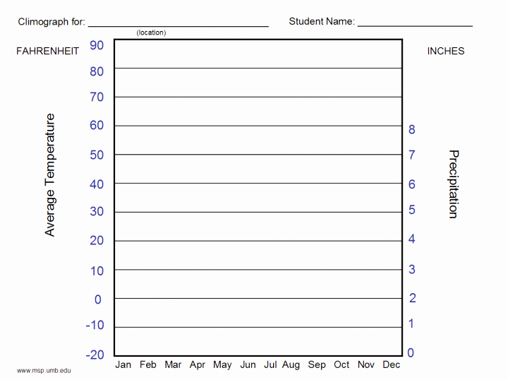 28 Of Blank Graph Template for Elementary
