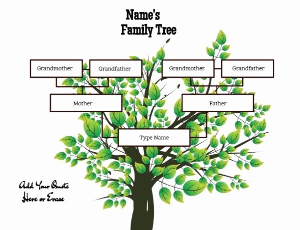 family tree templates three generations