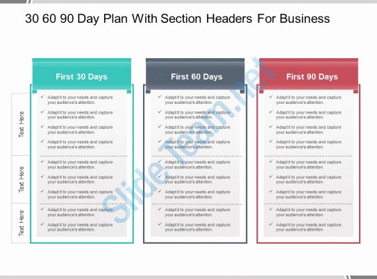 30 60 90 Day Plan with Section Headers for Business