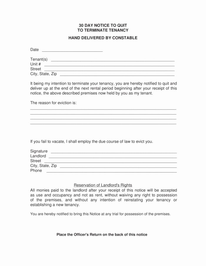 30 Day Eviction Notice Template Pdf Templates Resume