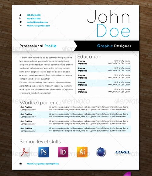 modern and professional resume templates