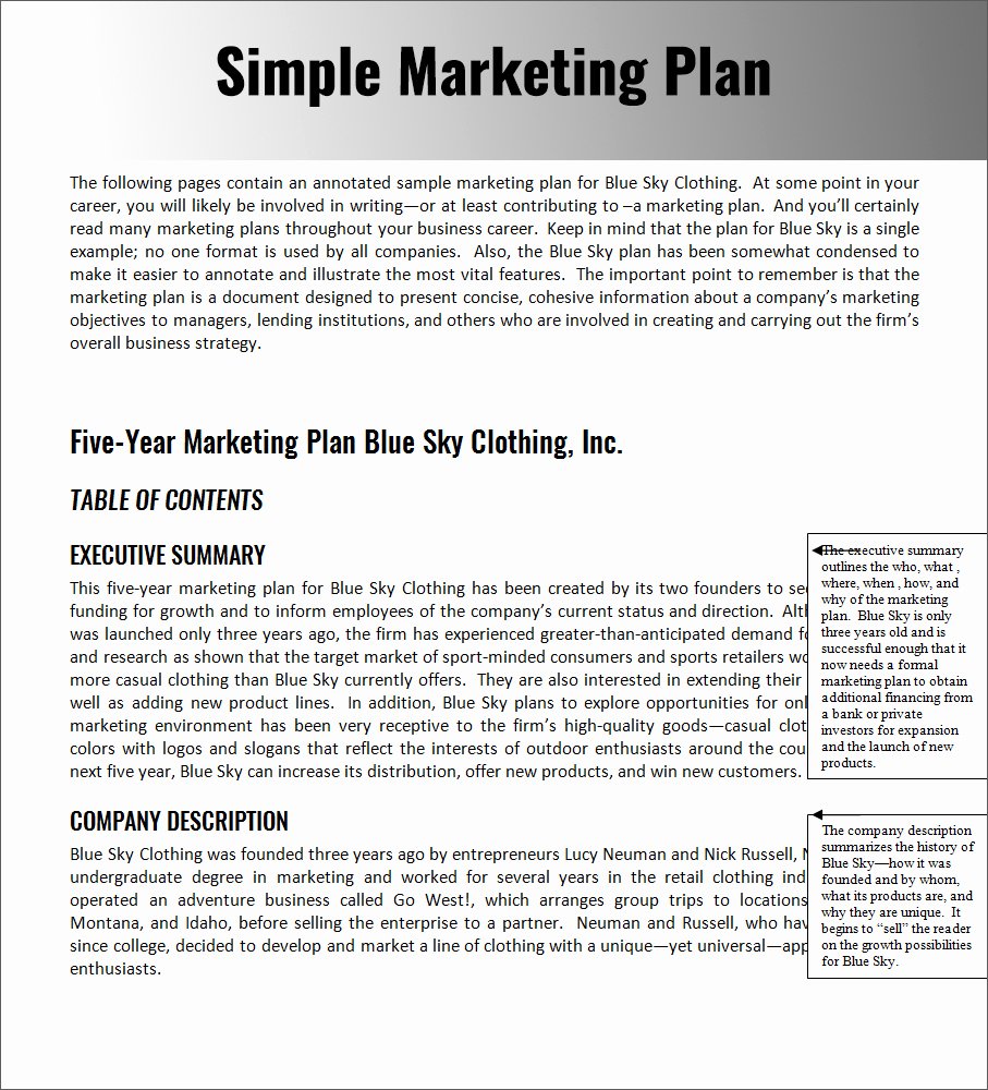 32 Free Marketing Strategy Planning Template Pdf Ppt
