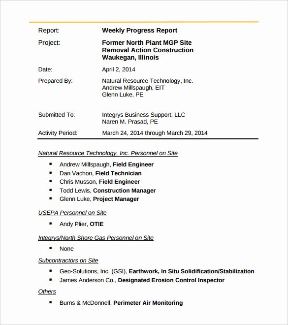 33 Weekly Activity Report Templates Pdf Doc