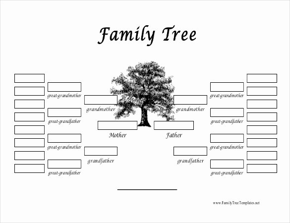 34 Family Tree Templates Pdf Doc Excel Psd