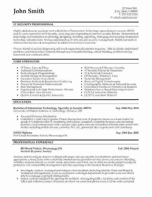 37 Amazing Sample Resume for Information Security Analyst