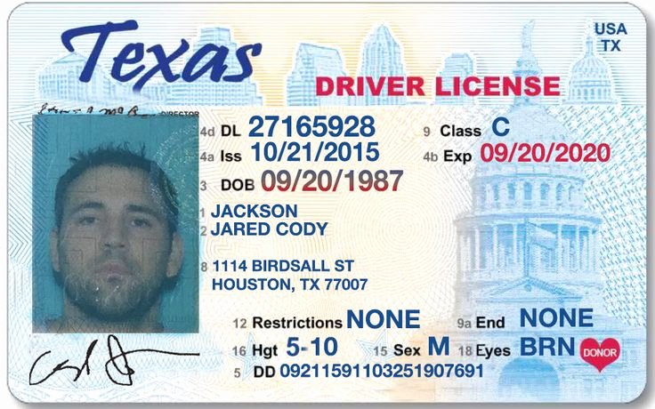 fake temporary texas drivers license template