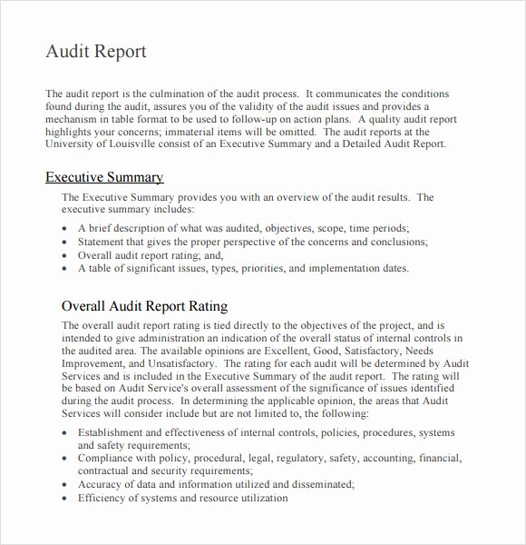 38 Brilliant Template Samples for Audits Thogati