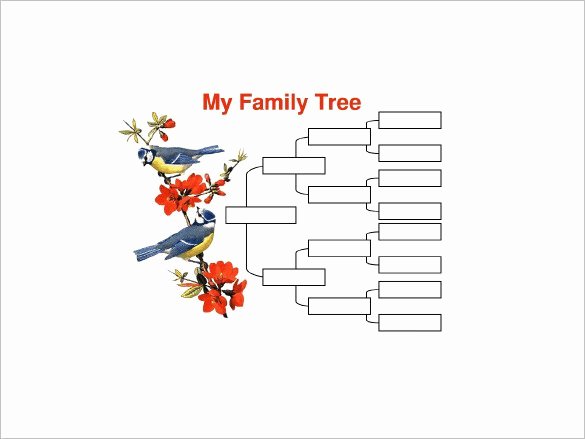 4 Generation Family Tree Template – 12 Free Sample