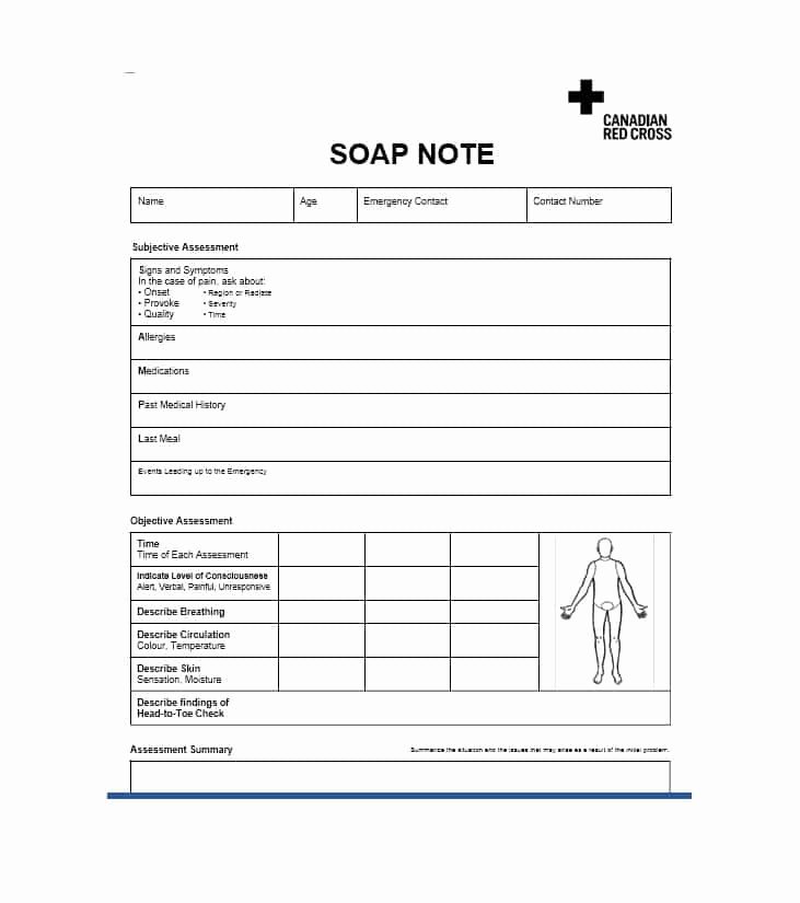40 Fantastic soap Note Examples &amp; Templates Template Lab