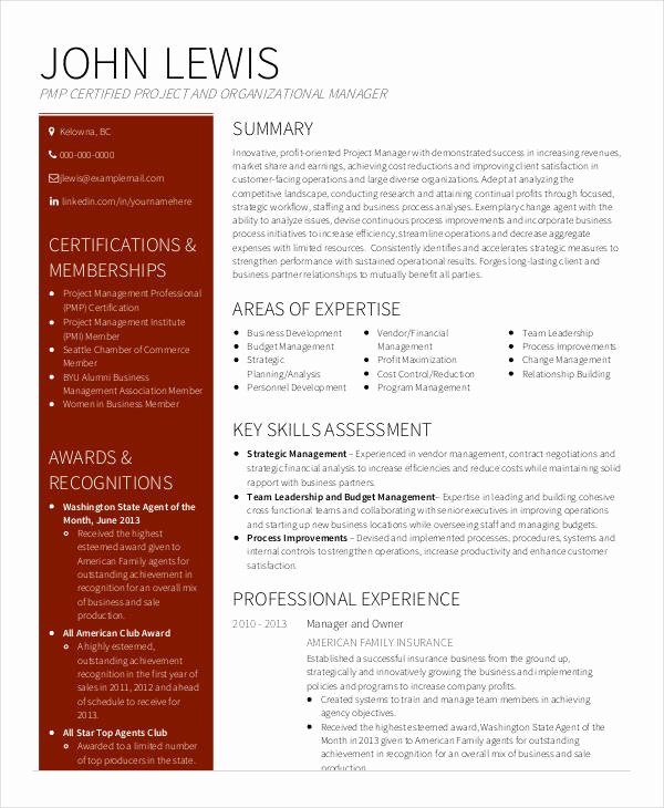 senior project manager resume template