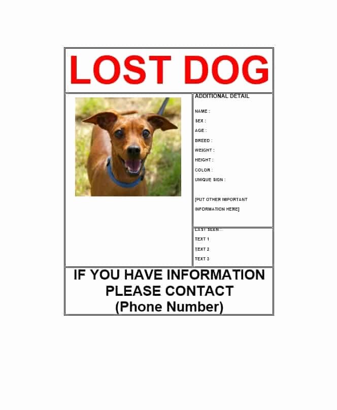 40 Lost Pet Flyers [missing Cat Dog Poster] Template