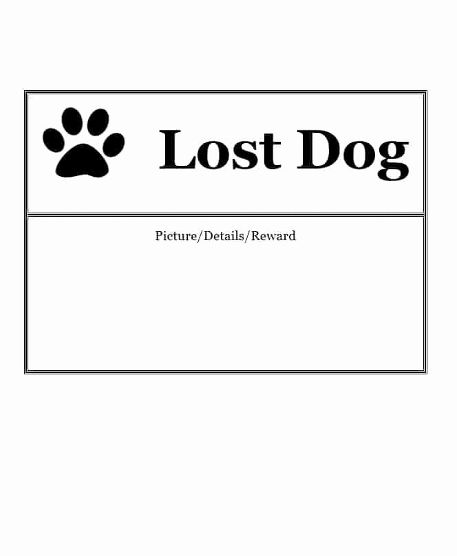 40 Lost Pet Flyers [missing Cat Dog Poster] Template