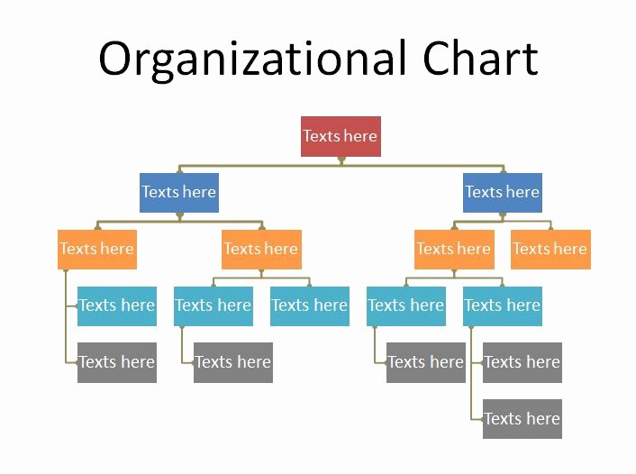 40 organizational Chart Templates Word Excel Powerpoint