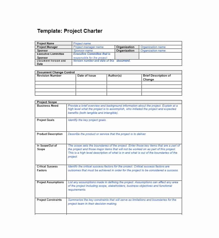 40 Project Charter Templates &amp; Samples [excel Word