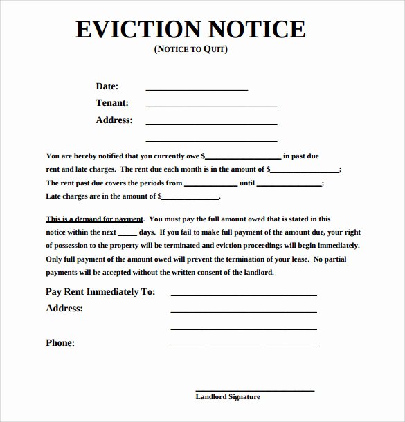 43 Eviction Notice Templates – Pdf Doc Apple Pages