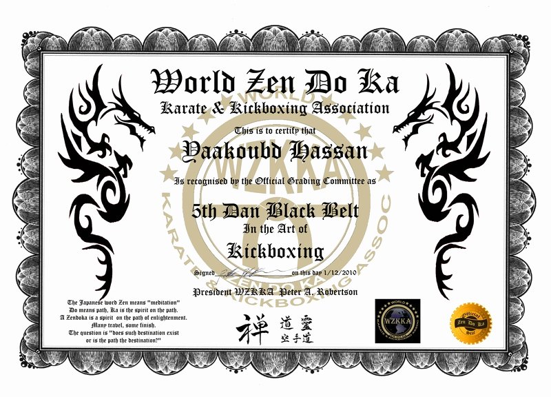 43 Karate Black Belt Certificate Templates Karate