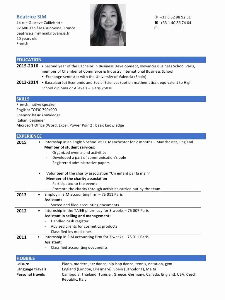 ms excel resume format