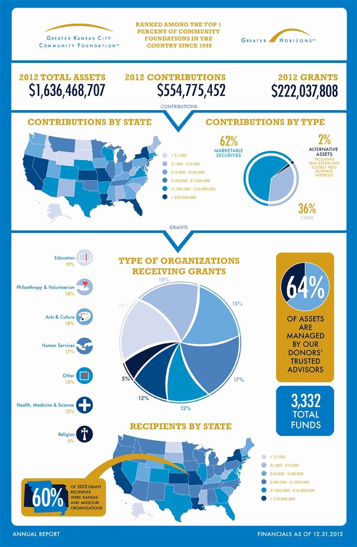 46 Best Images About Nonprofit Annual Report Infographics