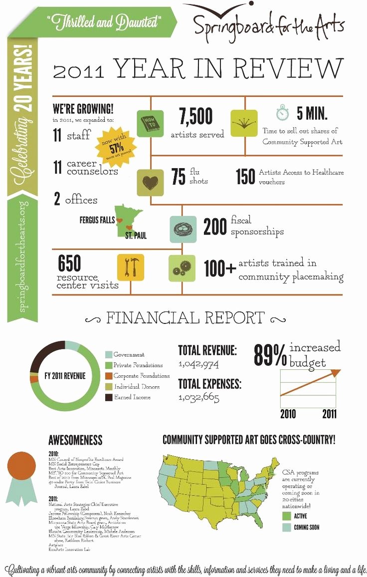 46 Best Images About Nonprofit Annual Report Infographics