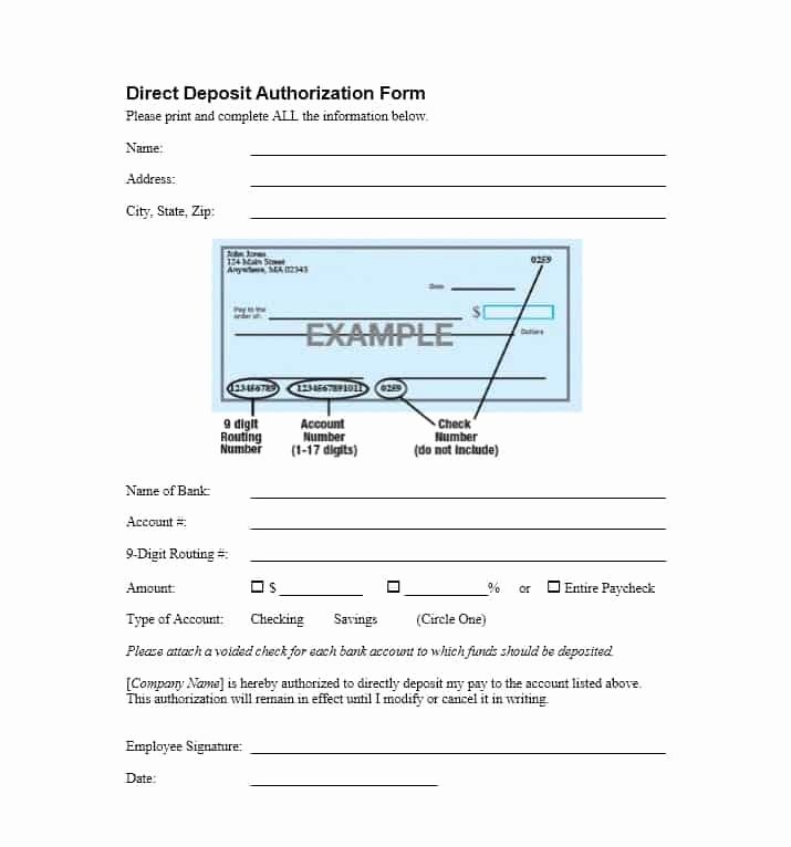 47 Direct Deposit Authorization form Templates Template