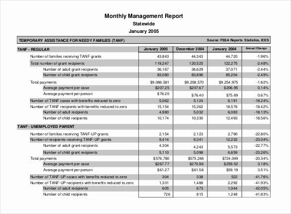 monthly management report