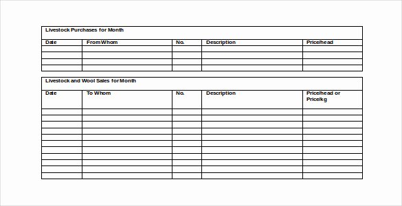 48 Monthly Management Report Templates Pdf Doc Excel