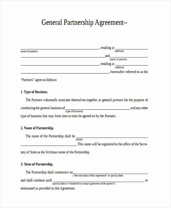 49 Examples Of Partnership Agreements