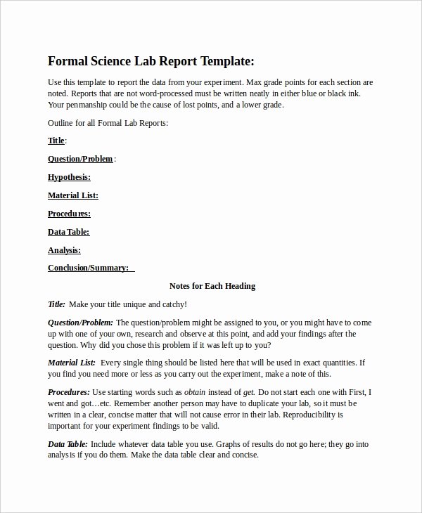 49 Report Templates Free Sample Example format